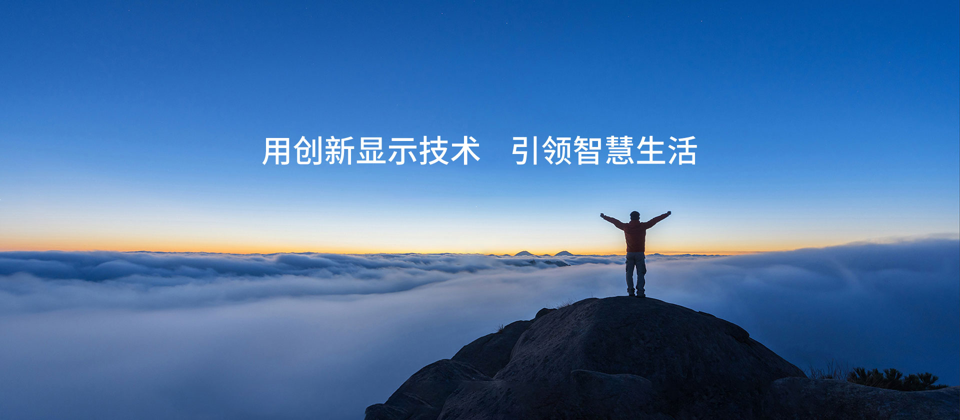 賽舍德軸承